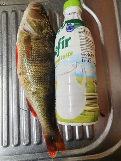 Ešerys, 0,7 kg