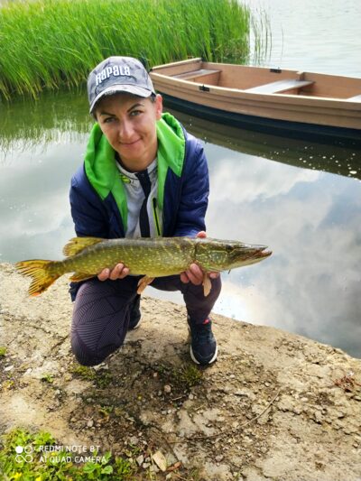 Lydeka, 1,8 kg