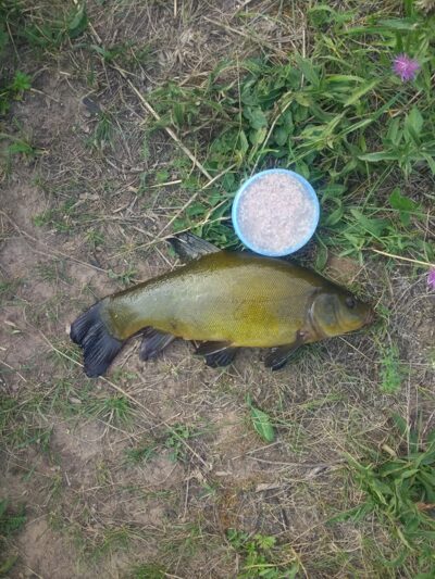 Lynas, 0,6 kg