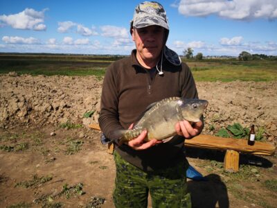 Paprastasis karpis, 2,4 kg