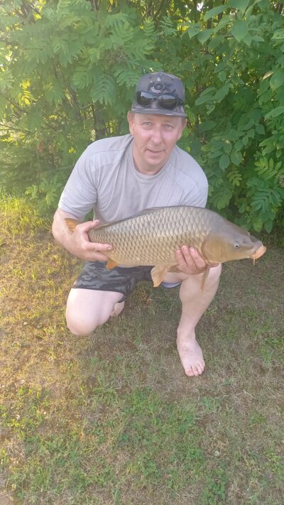 Paprastasis karpis, 5,7 kg