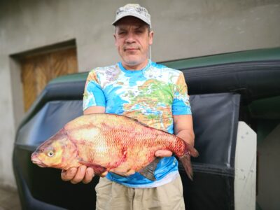 Karšis, 2,6 kg — Kuršių