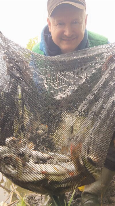Paprastoji kuoja, 2,2 kg — Elektrėnų marių