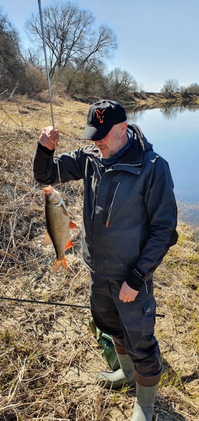 Mekne, 1,6 kg — Nevėžis