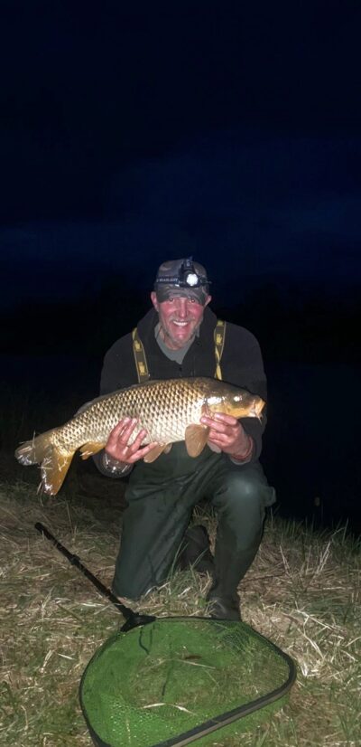 Paprastasis karpis, 5,2 kg