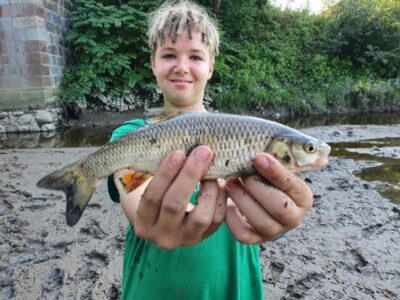šapalas, 0,4 kg