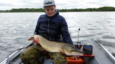 Lydeka — Gudelių