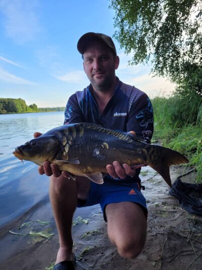 Paprastasis karpis, 3,9 kg