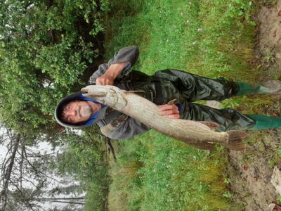 Lydeka — Kings River