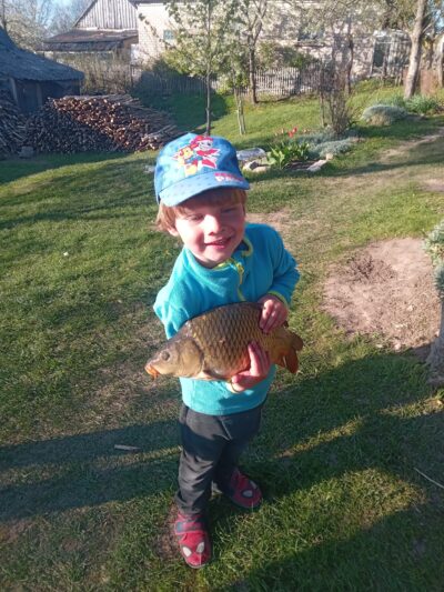 Paprastasis karpis, 2,0 kg