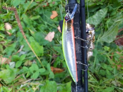 Lydeka ×3
