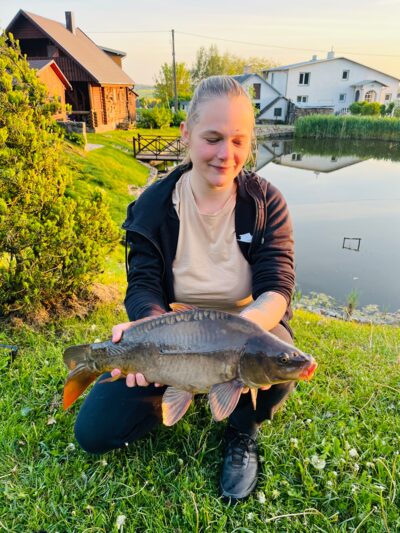 Paprastasis karpis, 4,3 kg