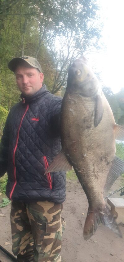 Karšis, 3,1 kg
