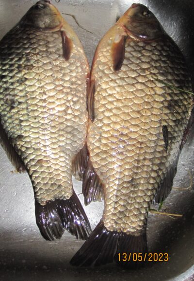 Sidabrinis karosas ×2
