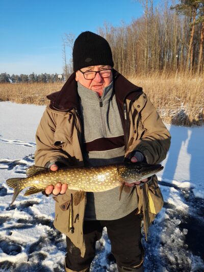 Lydeka, 1,7 kg