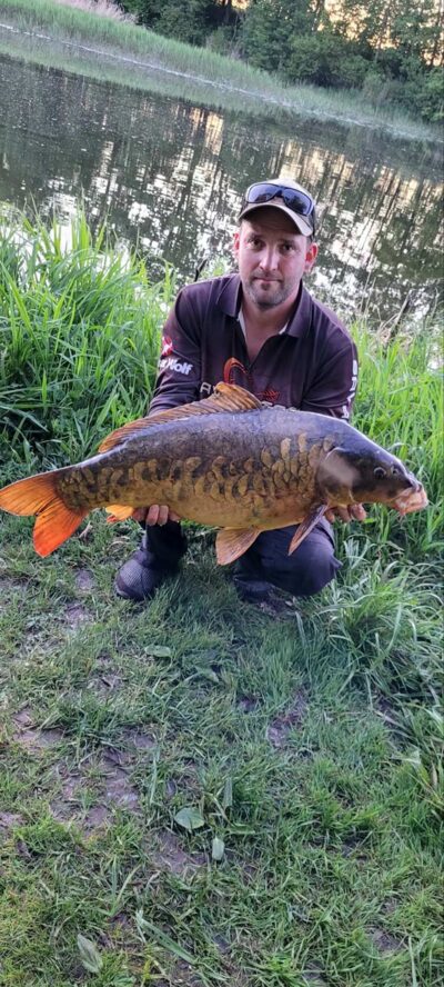Paprastasis karpis, 11,2 kg