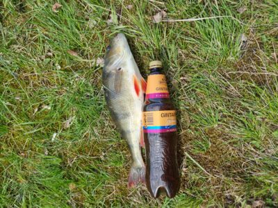 Ešerys, 1,0 kg