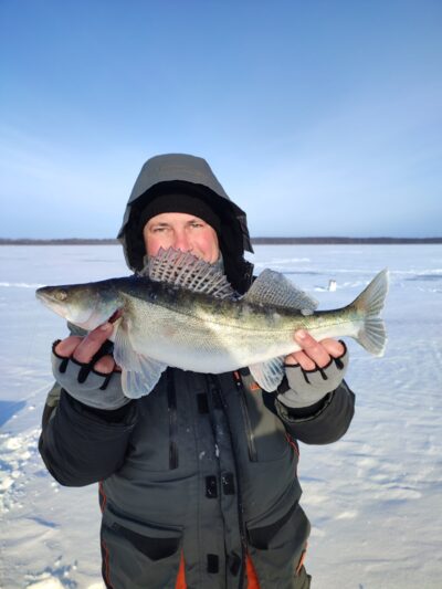Starkis, 1,5 kg — Kauno marių