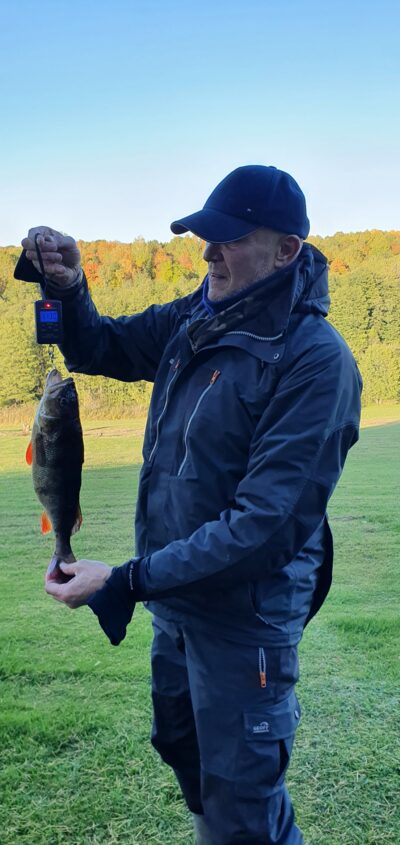 Ešerys, 1,1 kg