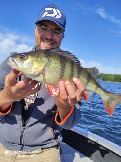 Ešerys, 0,9 kg — Luodis