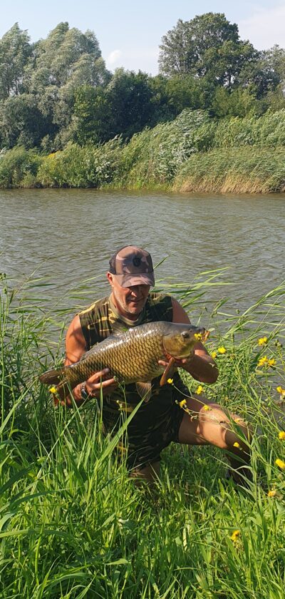 Paprastasis karpis, 6,5 kg