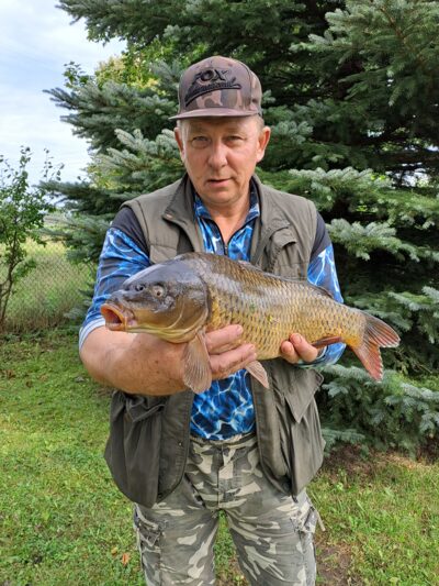 Paprastasis karpis, 3,5 kg