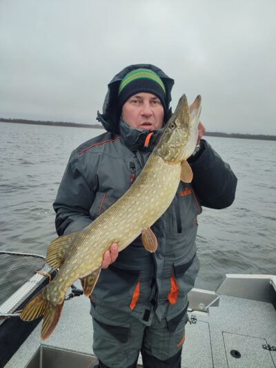 Lydeka, 3,8 kg — Drūkšiai