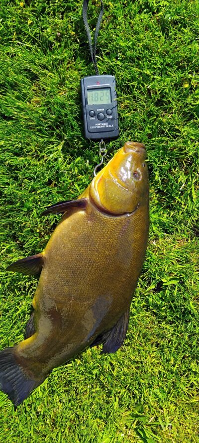 Lynas, 1,8 kg