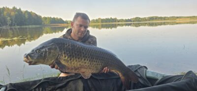 Paprastasis karpis, 16,5 kg — Padysnio HE
