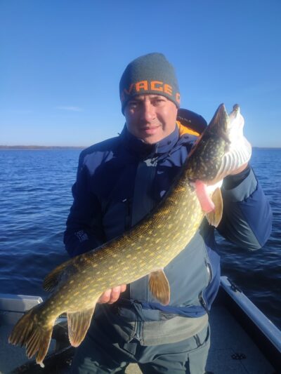 Lydeka, 3,5 kg — Drūkšiai