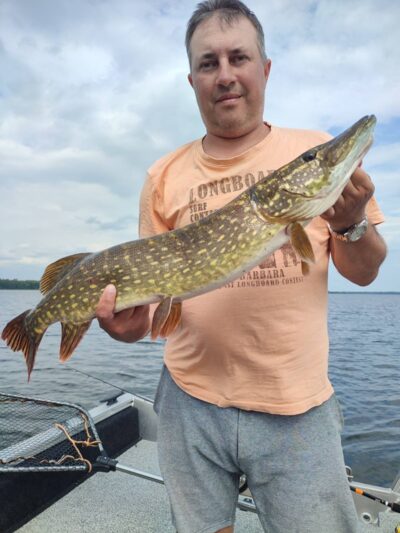 Lydeka, 3,1 kg — Drūkšiai