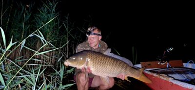 Paprastasis karpis, 13,8 kg — Padysnio HE