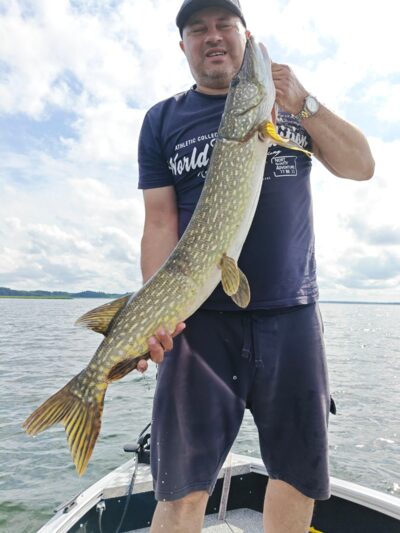Lydeka, 6,8 kg — Drūkšiai