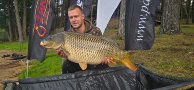 Paprastasis karpis, 15,2 kg — Padysnio HE