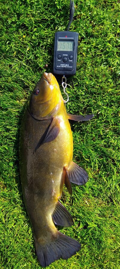 Lynas, 1,5 kg