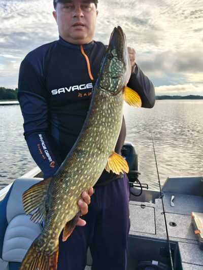 Lydeka, 5,6 kg — Drūkšiai