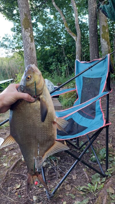 Karšis, 2,0 kg