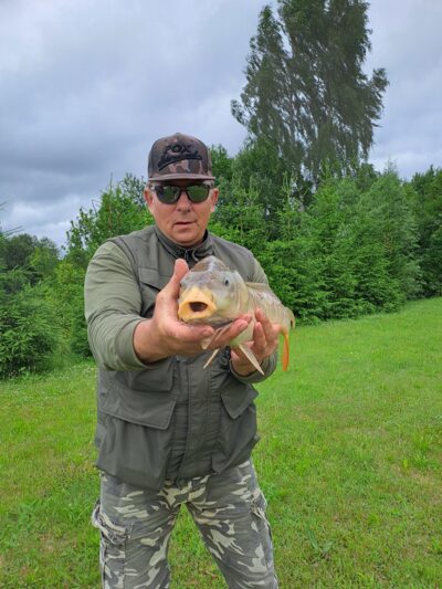 Paprastasis karpis, 5,2 kg