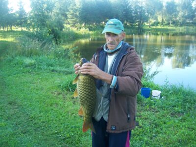 Paprastasis karpis, 4,5 kg