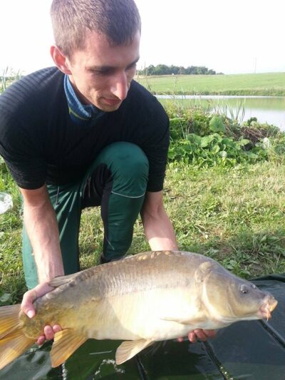 Paprastasis karpis, 9,0 kg
