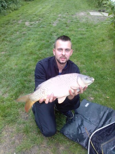 Paprastasis karpis, 3,5 kg