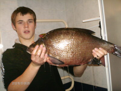 Karšis, 3,4 kg — Pakasas