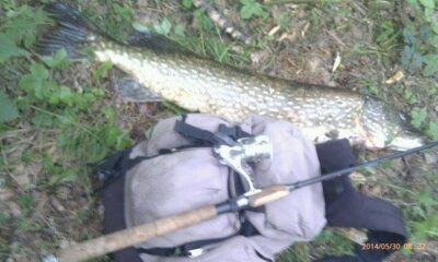 Lydeka, 7,0 kg