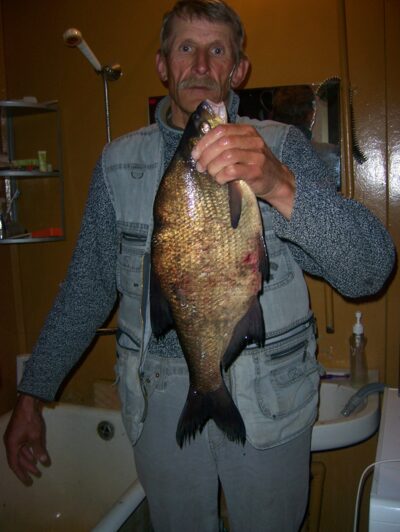 Karšis, 1,9 kg — Švobiškio