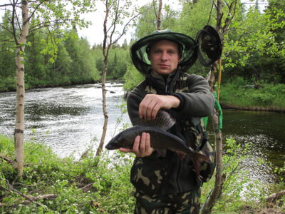 Kiršlys, 0,8 kg — Цага