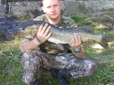 Lydeka, 4,5 kg — Glomma