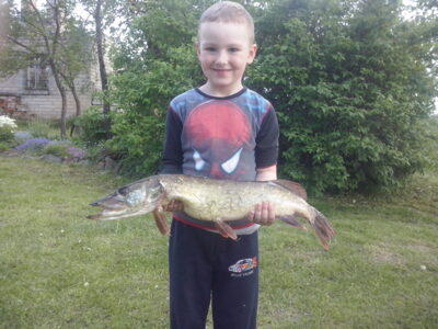 Lydeka, 2,9 kg