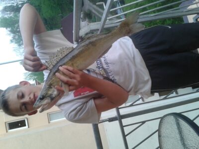 Starkis, 1,8 kg