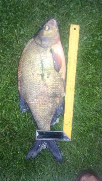 Karšis, 2,4 kg — Elektrėnų marių