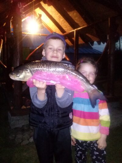 šapalas, 1,8 kg — Merkys